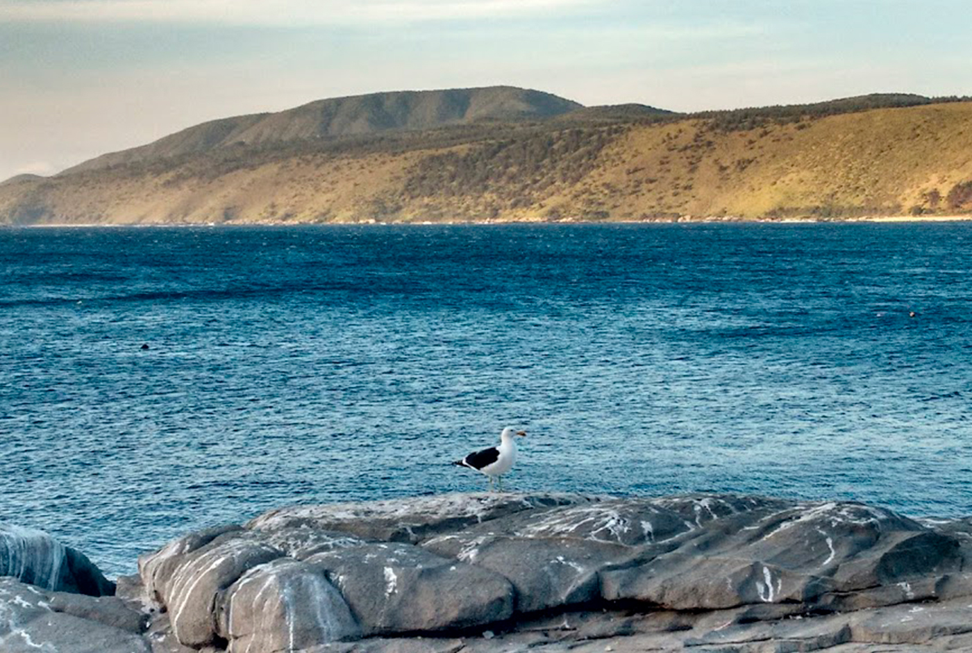 Imagen de Carretera hídrica vs agua desalinizada: El sentido de realidad