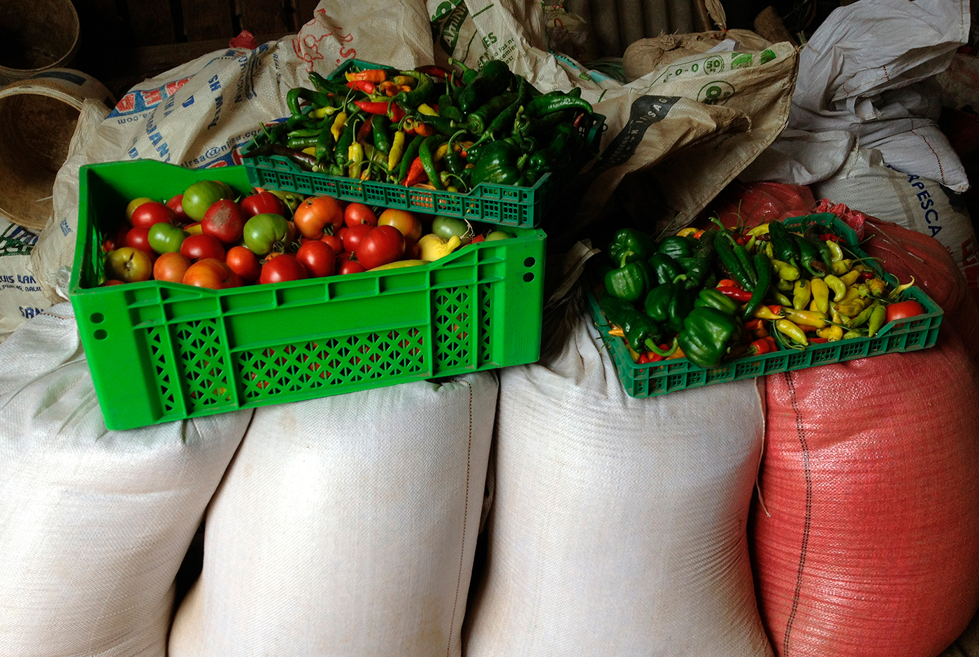Imagen de Chile alimenta a Chile