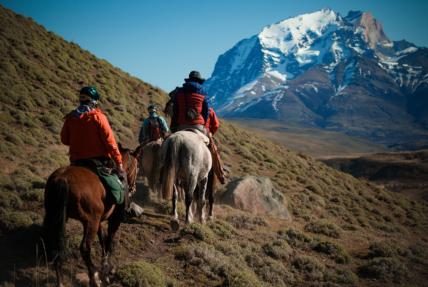 Imagen de Distancia social: la ventaja de las cabalgatas en la reactivación del turismo
