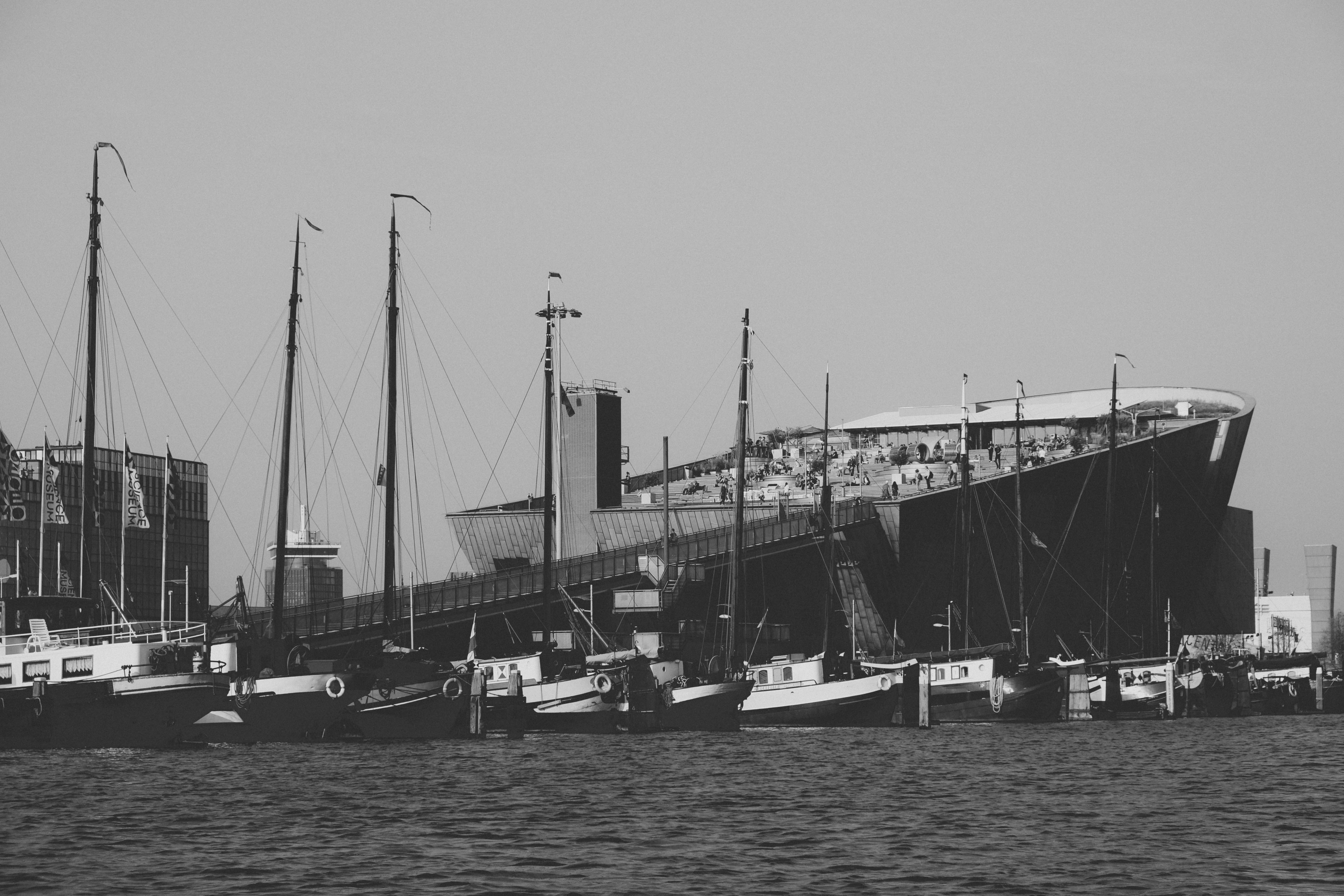 Imagen de El siniestro caso de las uvas envenenadas