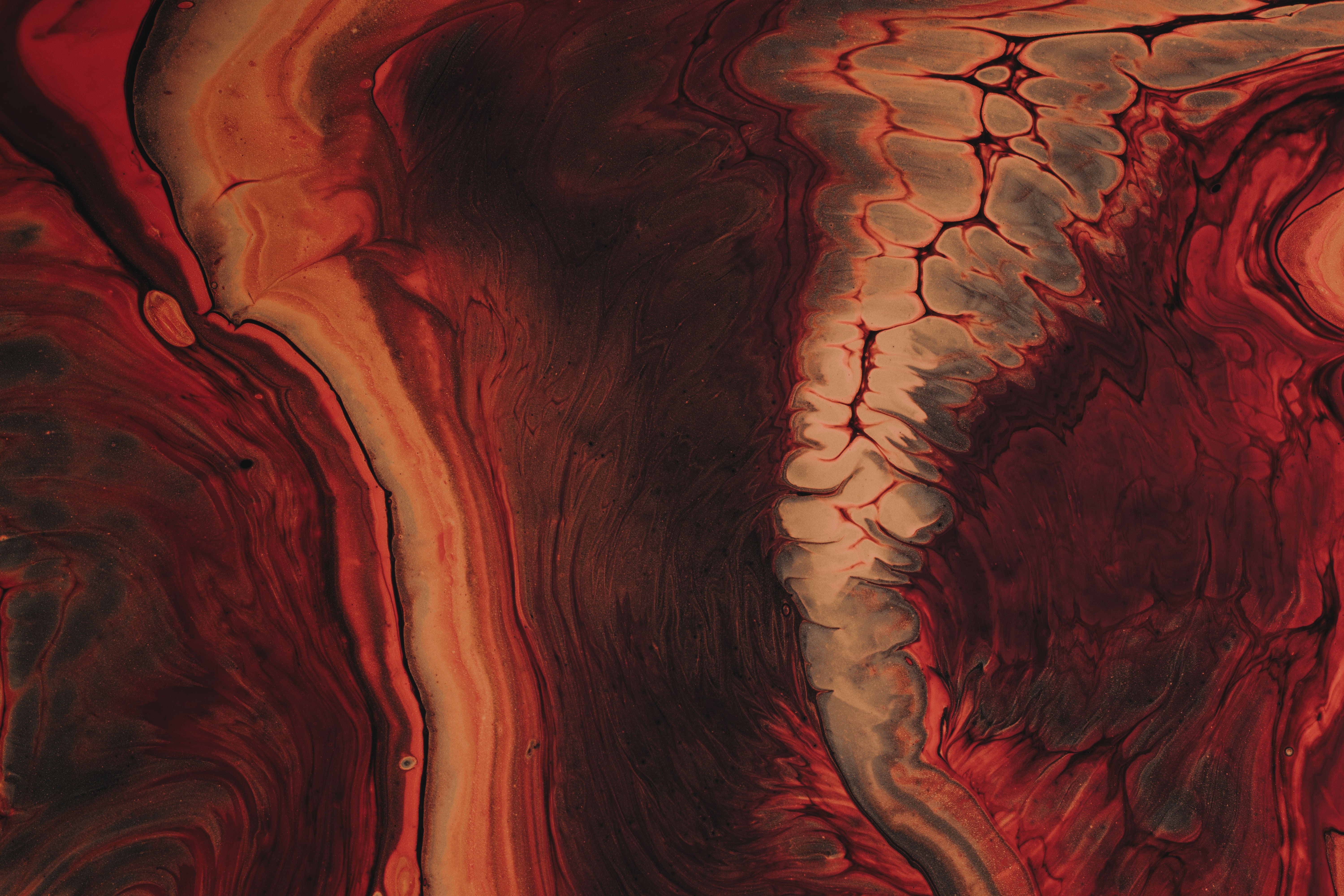 Imagen de IA y el refugio de comer