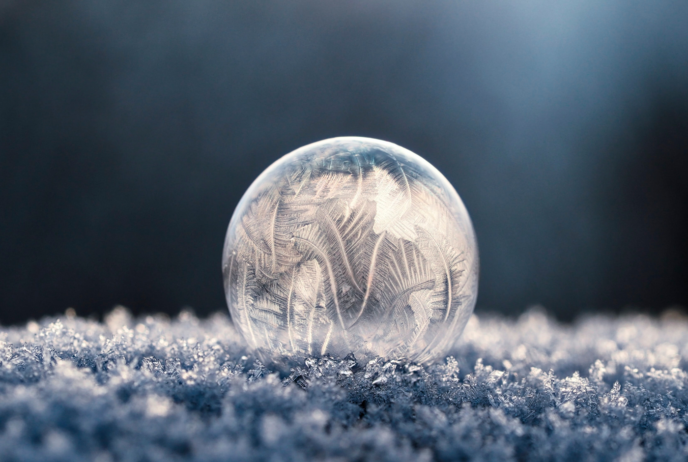 Imagen de La Era del Hielo: Una breve historia de la refrigeración