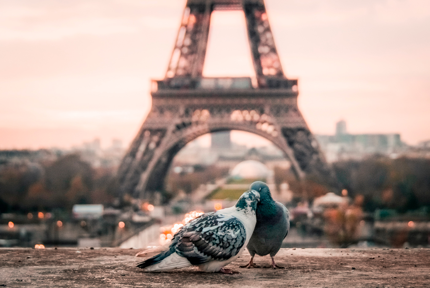 Imagen de Le patrimoine sensoriel des campagnes, le nouvel étendard de la ruralité