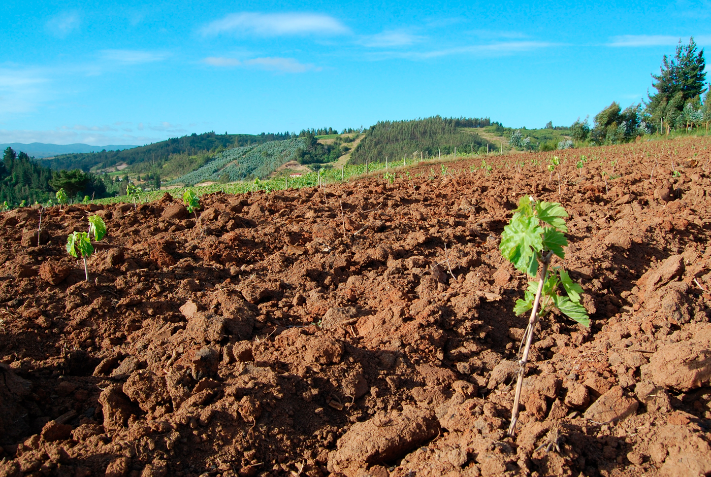 Imagen de MINAGRI: Estado, política pública y agricultura