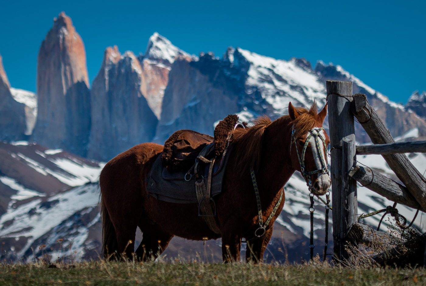 Imagen de Mulares y Turismo