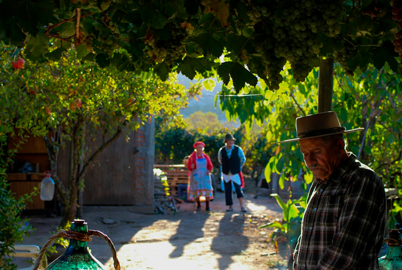 Imagen de Sobre el origen de la chicha. Parte II