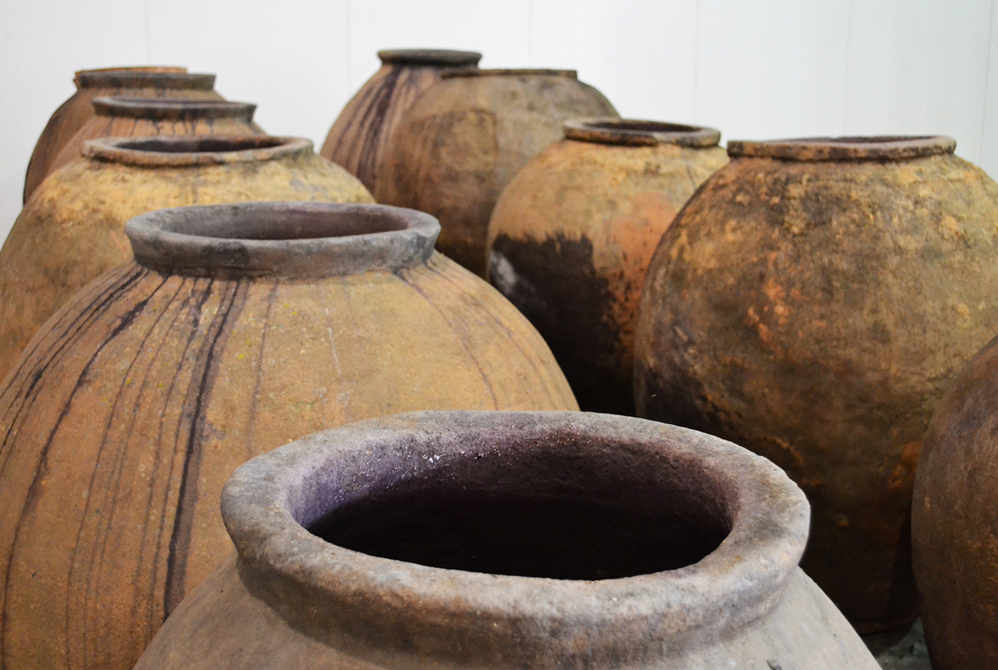 Imagen de Sobre el origen de la chicha. Parte I