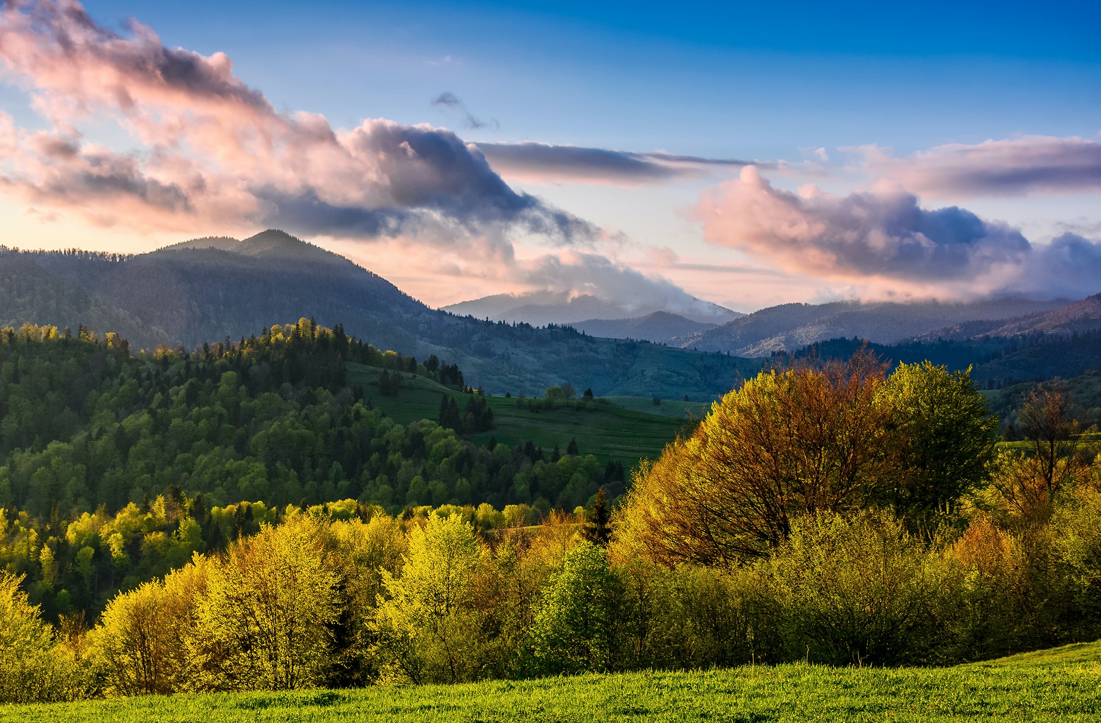 Imagen de Sostenibilidad: el gran desafío para el futuro del vino