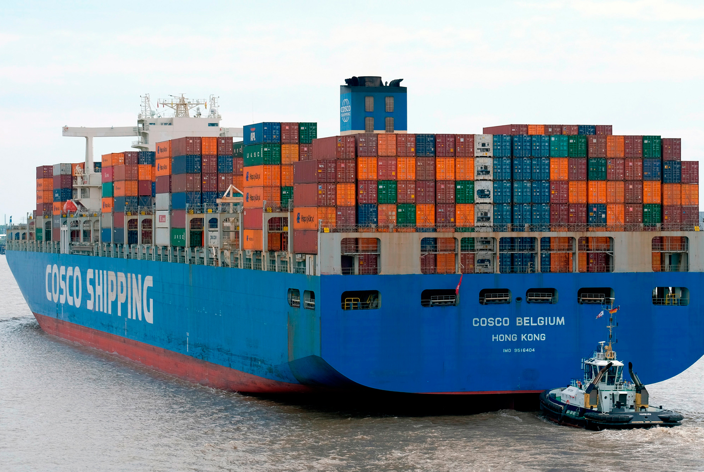 Imagen de TPP-11 en la industria del vino