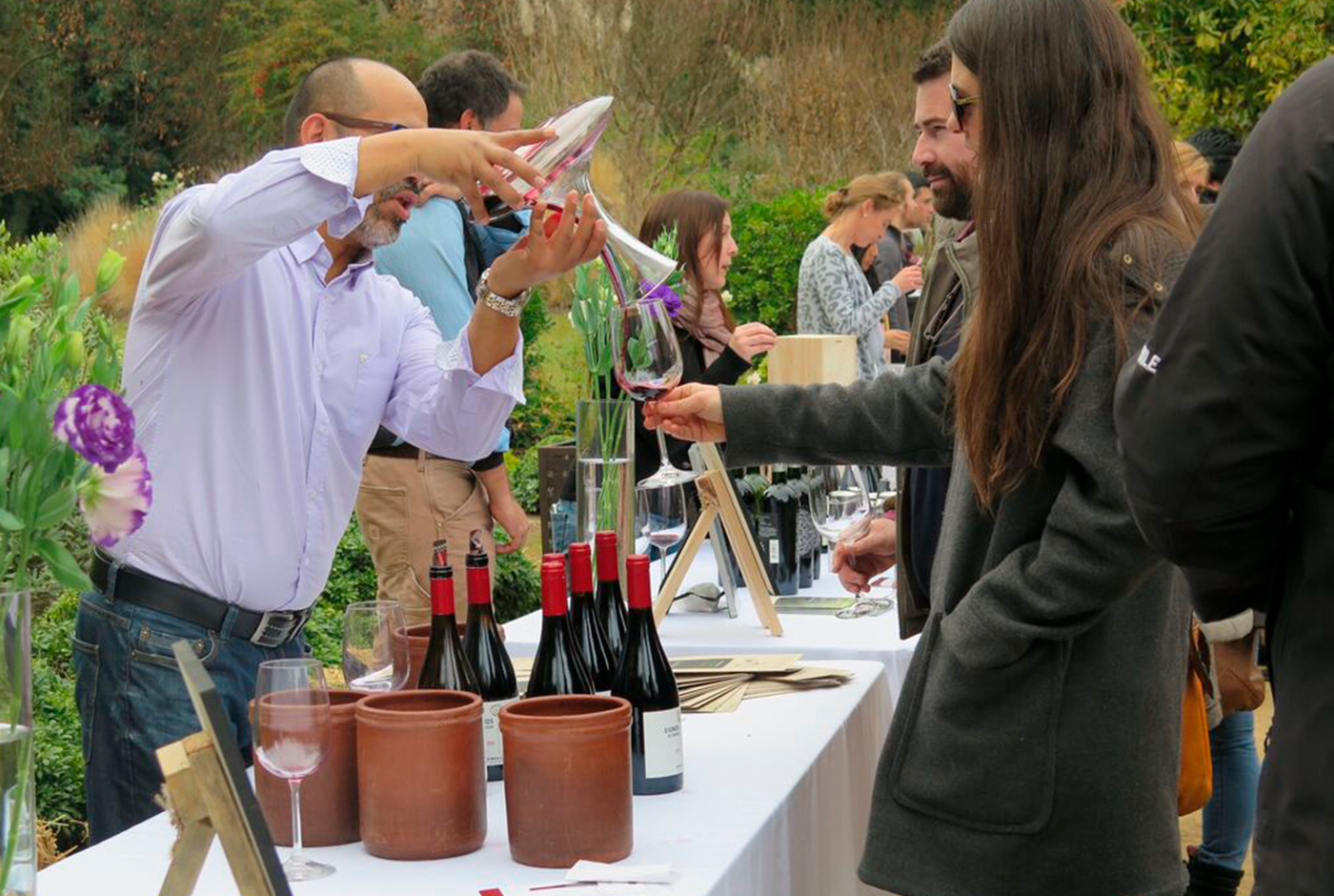 Imagen de Vino y Salud