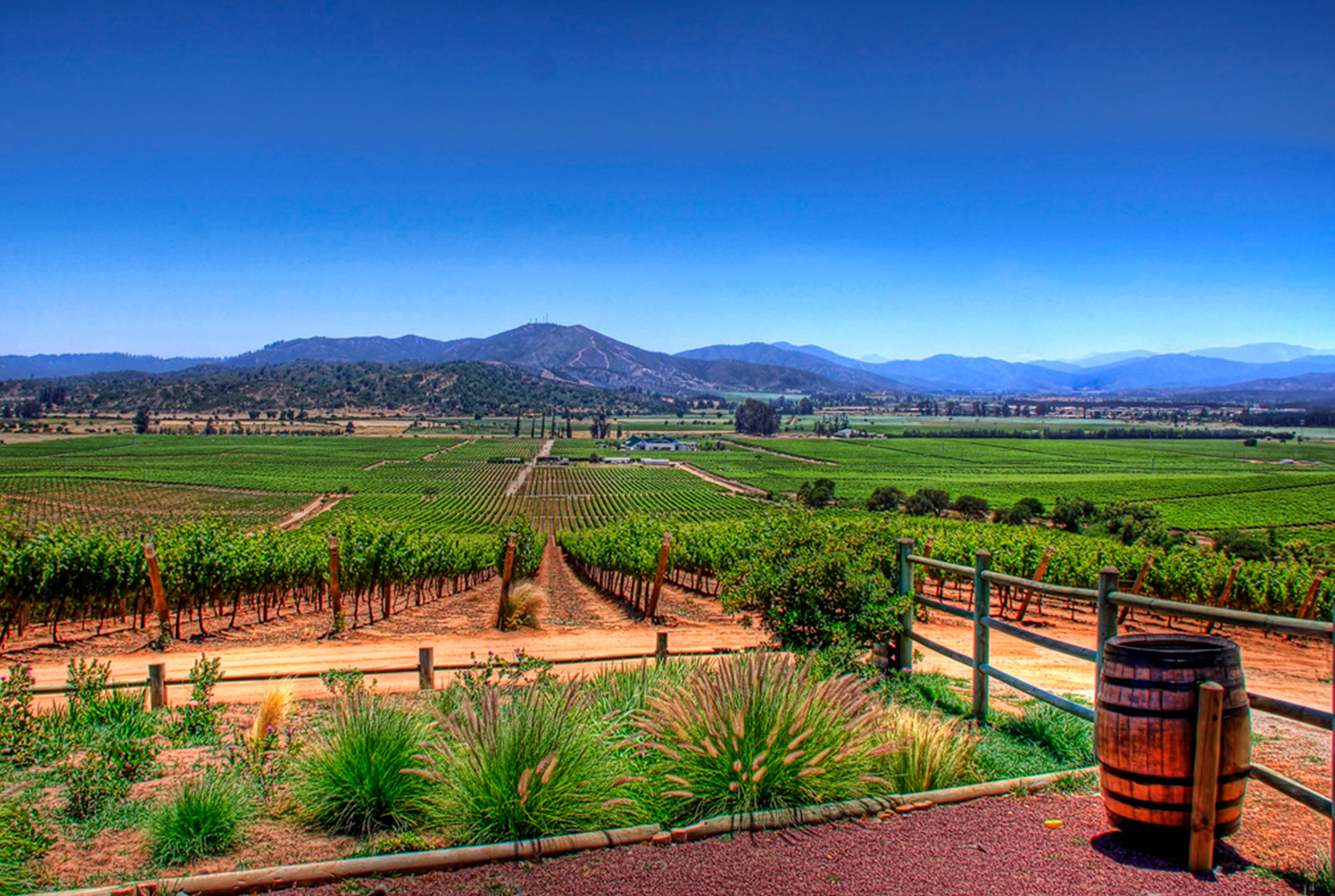 Imagen de Le paysage viticole à des fins touristiques